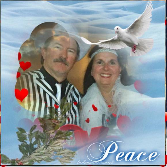 Meet your Posher, Robin - Picture 1 of 1